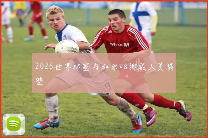 2026世界杯塞内加尔vs挪威人员调整