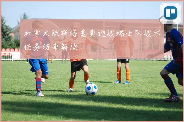 加拿大欧斯塔基奥迎战瑞士队战术任务赔率解读