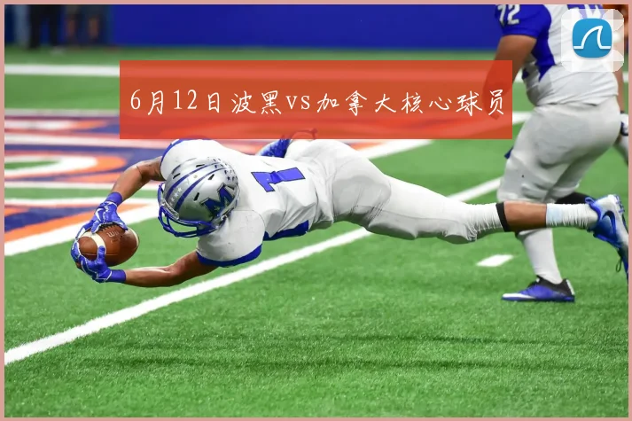 6月12日波黑vs加拿大核心球员